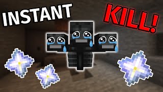 The FASTEST Way To Kill The Wither in Minecraft 1.19!