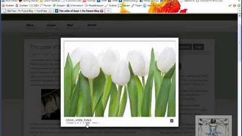 Auto Thickbox WordPress Plugin