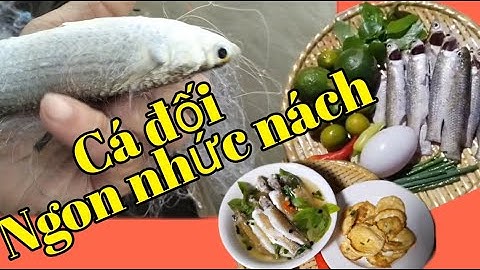 Thả lưới cá đối, trời mưa.