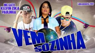 Mc Gato E Kelvin Zika - Vem Sozinha - Áudio Oficial 2017