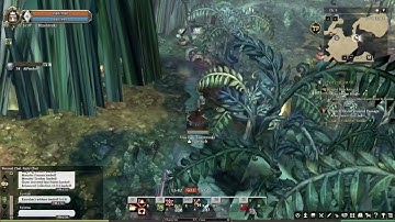 Tree Of Savior   nice graphical glitch