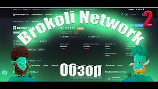 Обзор проекта Brokoli Network