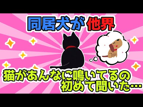 同居犬が他界。猫がきいたことないような声で泣いた。なんだよ、普段仲良くなかったくせにお前も同じ気持ちなんだな‥‥【2ch感動スレ/ほのぼのスレ】【ゆっくり解説】