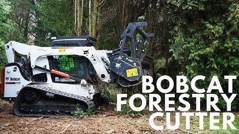 Bobcat T770 Track Loader & Forestry Cutter | Full Review