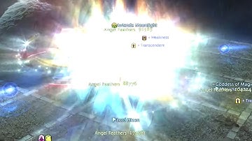 Healer using Limit Break 3 for the first time