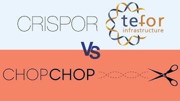 How to design and express CRISPR guide RNA [pX330 plasmid, Tutorial]