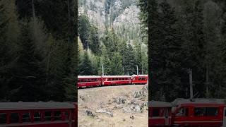 Beautiful train ride at Swiss Alps🇨🇭🇨🇭