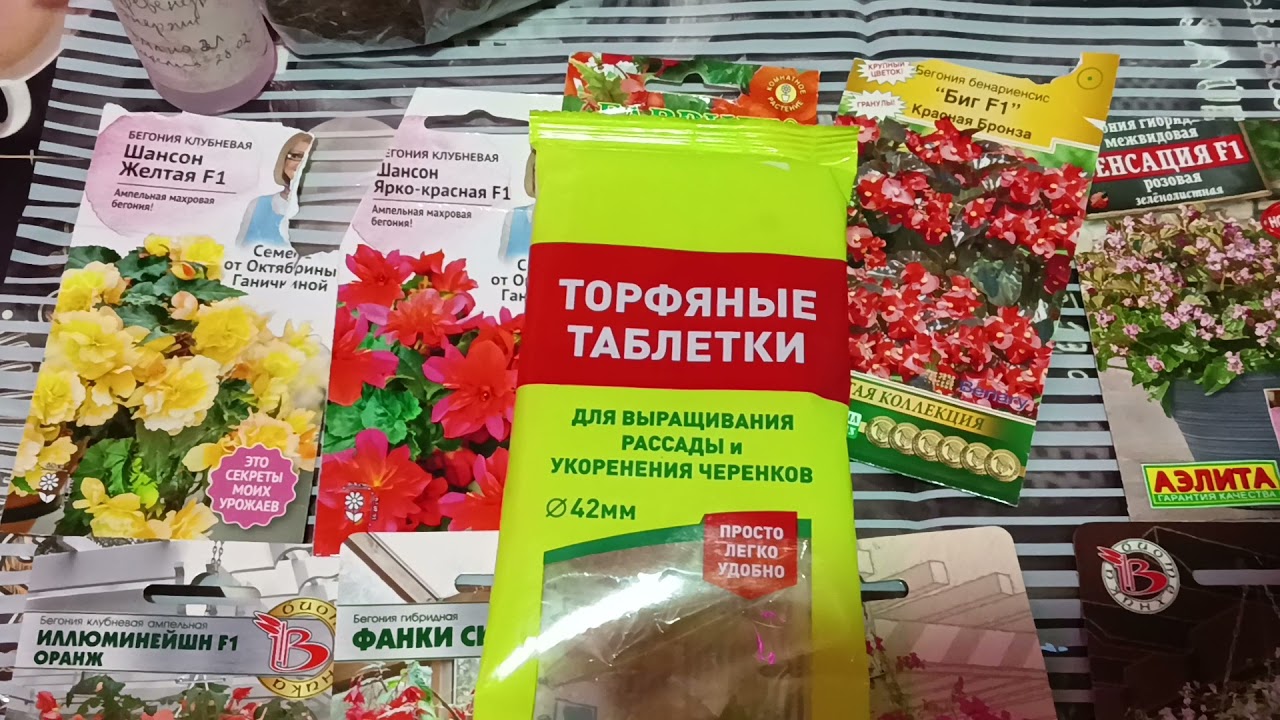 Не удержалась ,купила опять семена бегонии и уже посеяла.
