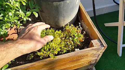 Co je rozdíl mezi balkónem a lodžií?