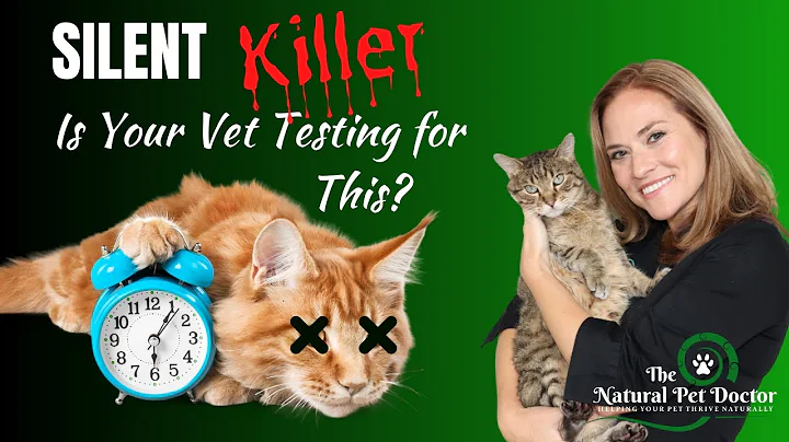 Heart Disease in Dogs and Cats | Test to Save Your Pet's Life