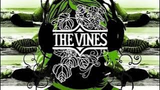 The Vines - Dope Train (Instrumental)