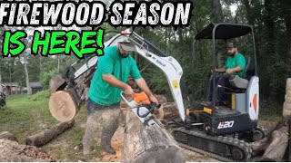 Firewood Season Is HERE!