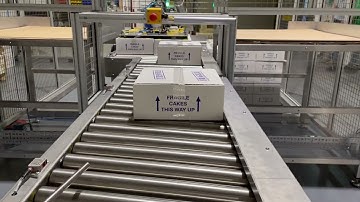 Reeco Smart Conveyor | Reeco Automation