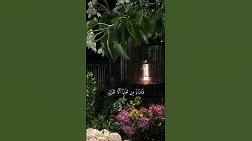 سـورة مريم |  ٢٣ - ٢٤ | القارئ : شريف مصطفى#قران_كريم | #سورة_مريم | #شريف_مصطفى