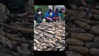 Amazing korean snack! unique lotus root chips / korean food factory #Shorts