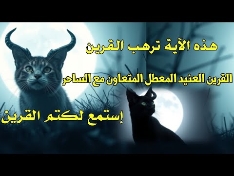 آية ترهب القرين العنيد وتفك عقده وتنهي تعامله مع الساحر والشياطين إصلاح ماافسده القرين وفك تعطيله