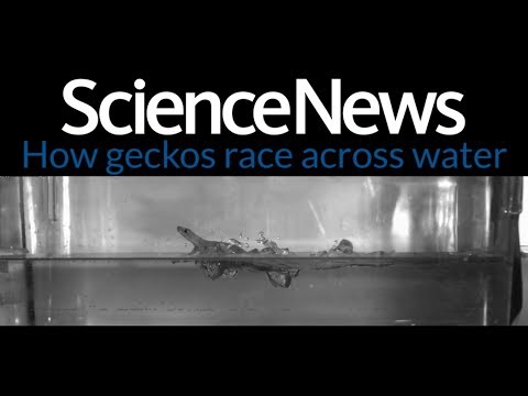 Science News