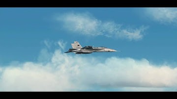 VRS F/A-18E Superbug Flight Model Demo