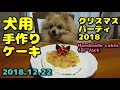 ポメラニアン・ジャックに犬用手作りクリスマスケーキ作ってみた　I made homemade Christmas cakes for Jack