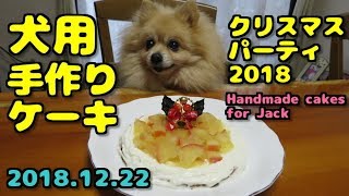 ポメラニアン・ジャックに犬用手作りクリスマスケーキ作ってみた　I made homemade Christmas cakes for Jack