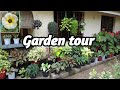 Garden Tour|| ഞങ്ങളുടെ  വീട്ടിലെ  Garden  കണ്ടാലോ?? 😍😍  my simple  garden /Garden tour malayalam