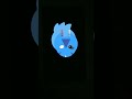 Chicken TaphIssosilly #cutecore #chicken #idunno #memes