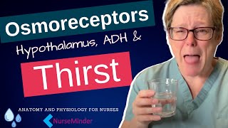 Osmoreceptors, the Hypothalamus, ADH and Thirst Mechanism