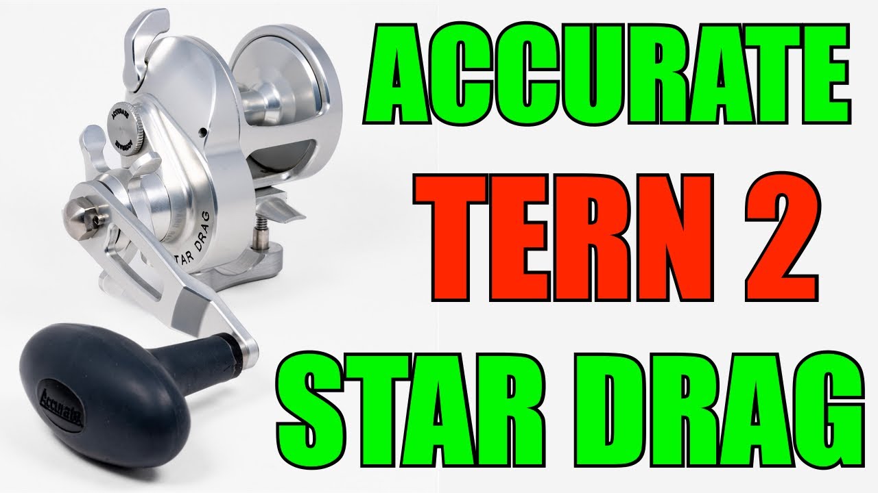 Accurate Tern 2 Star Drag Reels Preview