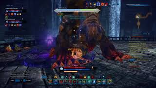Tera(Ps4)-Brawler Guide Through 3- Man Dungeon
