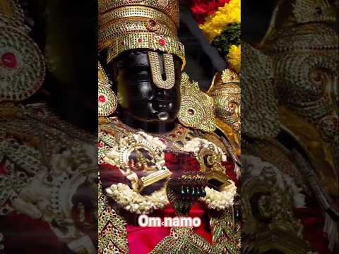 Tirupati Venkateswara Swamy status#omnamonarayanaya #viralshorts#balaji ఓం నమో వెంకటేశాయ