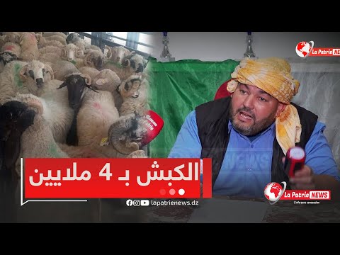 أنا رحت نشوف الكباش تاع رومانيا كي يتباع ب 4 ملايين رانا فالفائدة