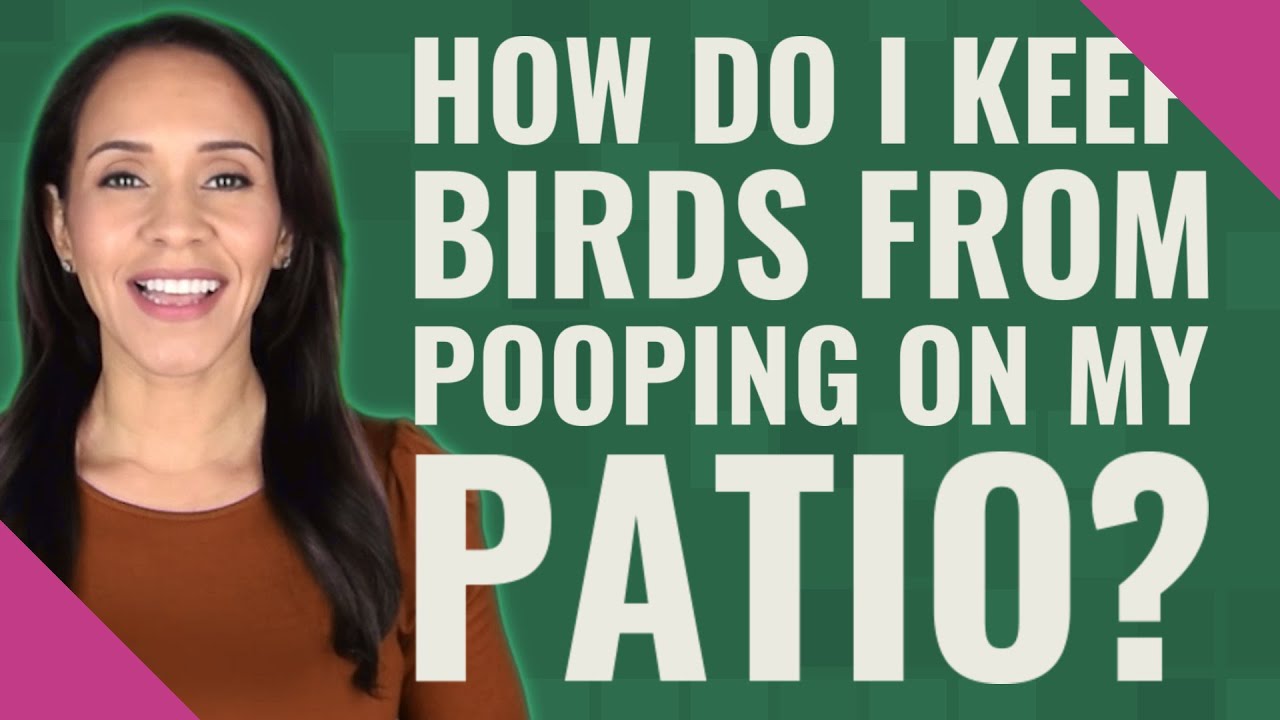 How do I keep birds from pooping on my patio? YouTube