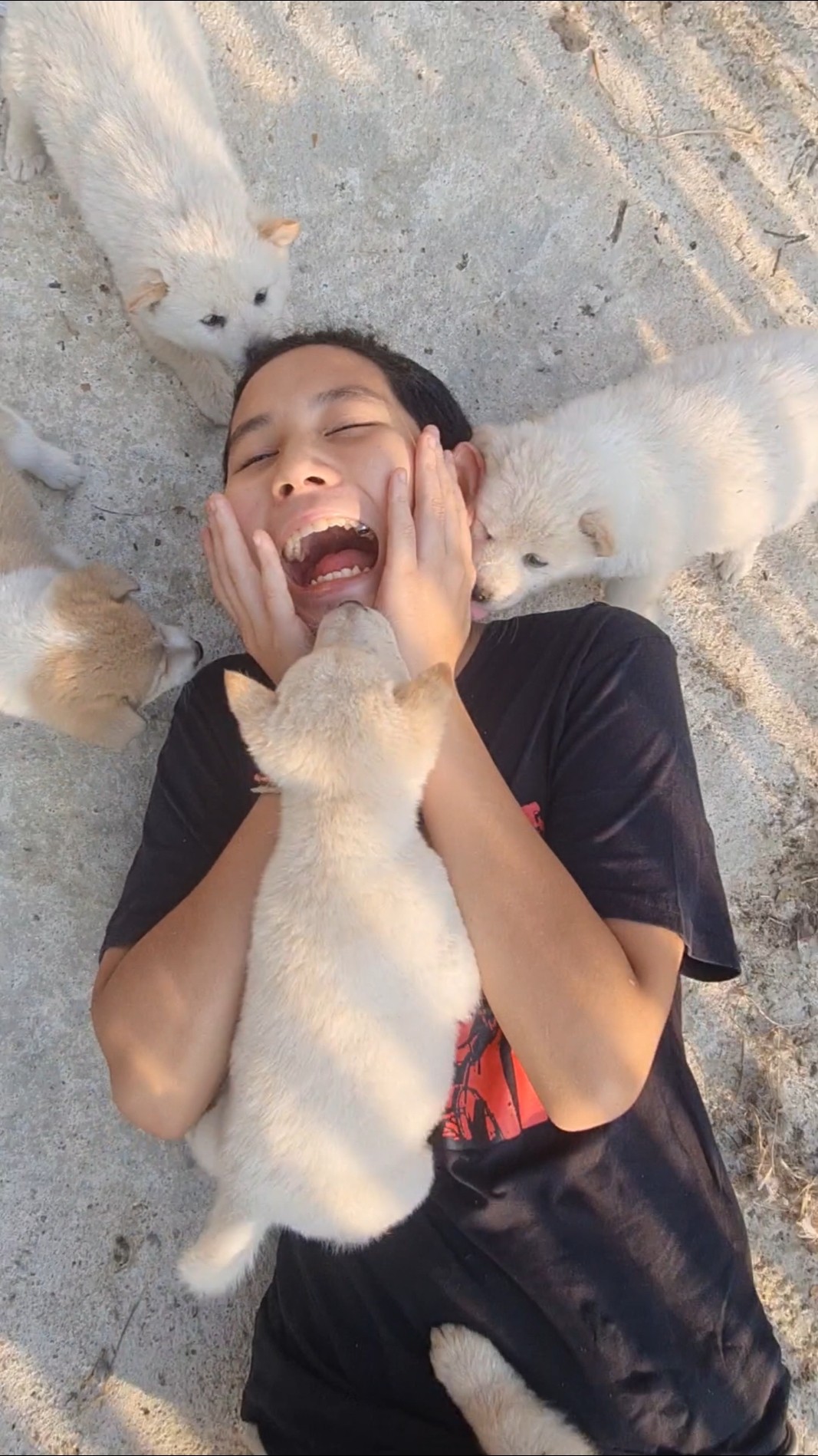 Sis OR Dad‼️ With Cute Puppies? Choose‼️ | JJaiPan #Shorts