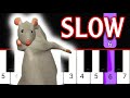 Rat Dance Meme SLOW EASY Piano Tutorial