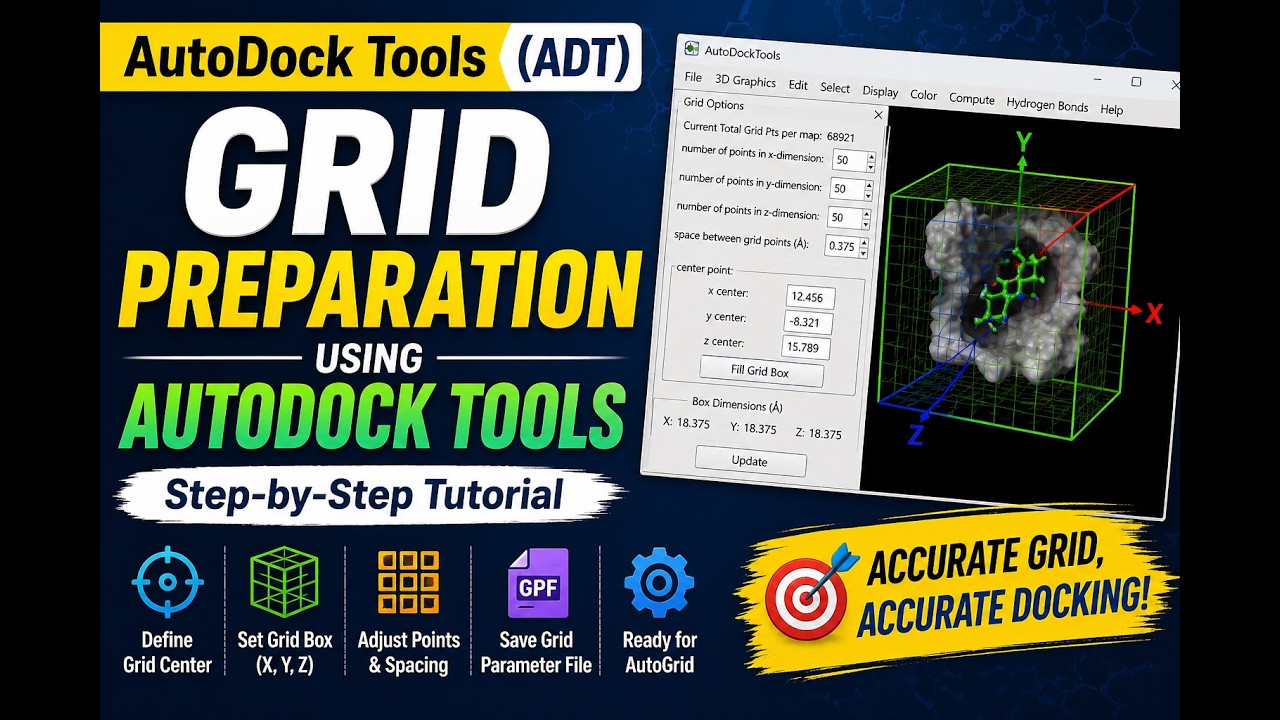 How to Perform Grid Preparation in AutoDock Tools | Step-by-Step ADT ...