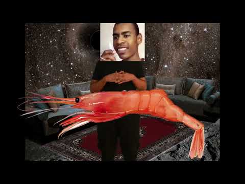The Shrimp Quicky قريدس زرباويا