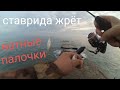 Ловля ставриды на черном море. Сочи.