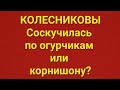 Семья Колесниковых/Обзор.