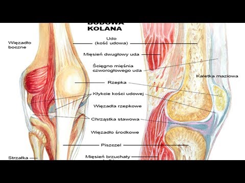 Wideo: Zapalenie Kaletki Kolanowej - Objawy, Leczenie, Przyczyny