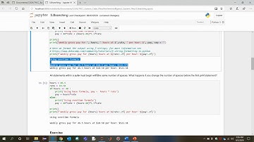 Branching - Jupyter Notebook