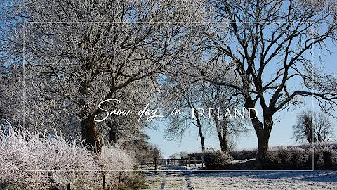 Winter Wonderland | Happy Holidays | Ireland | Day...