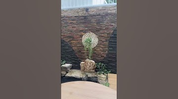 TIỂU CẢNH GIẾNG TRỜI   #honnonbo #canhquan #vuannonbo #hocakoi #kientrucvuon#shorts#sanvuon#chill