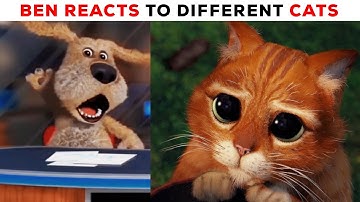 🐱Ben chooses to cats | Ben reacts to different cats