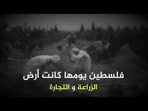 على ماذا نص صك الانتداب البريطاني و كيف رسم محو الهوية الفلسطينية