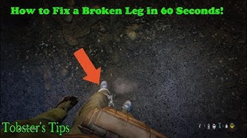 DayZ - How to Fix a Broken Leg Explained in 60 Seconds (Tobster