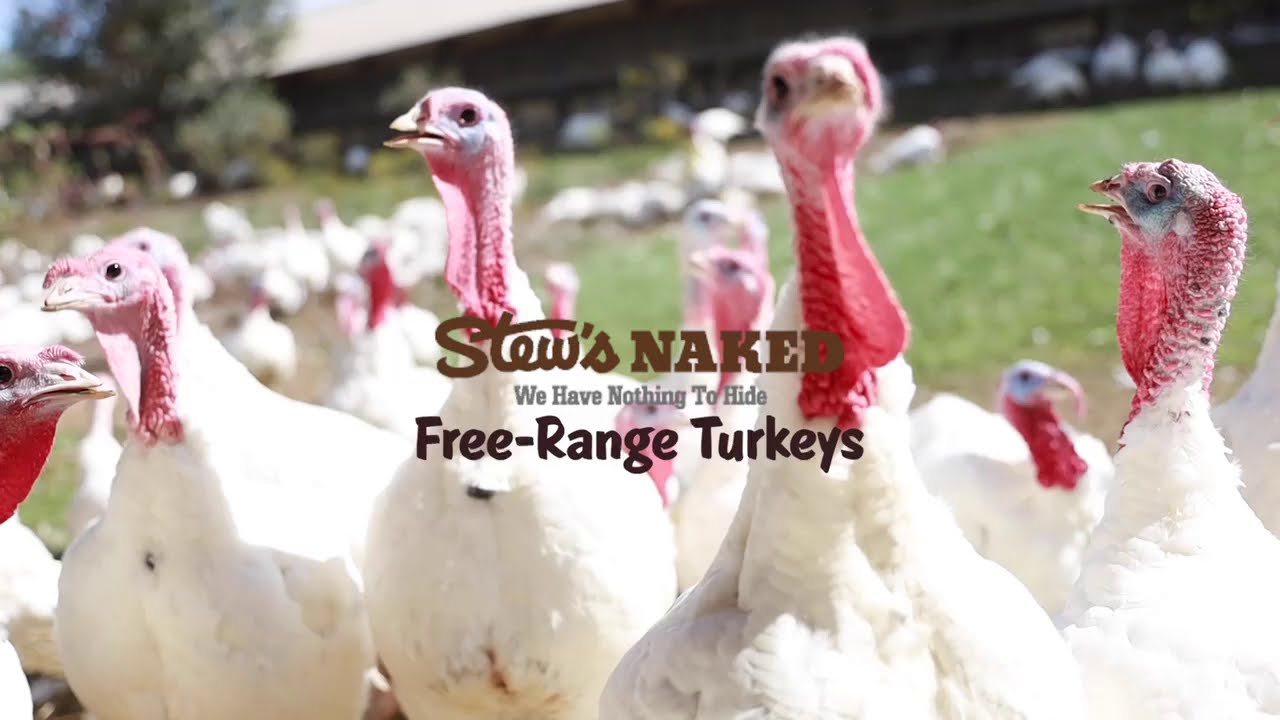 Stew Leonard's Free Range Turkeys YouTube