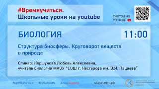 Биология. Структура биосферы. Круговорот веществ в природе