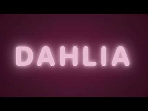 Dahlia Tape Delay