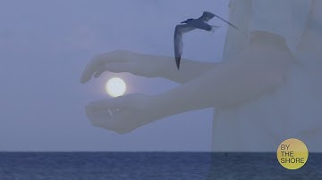 VIC3001: Module 3 Assignment 2