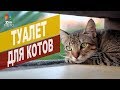 Туалет для кошек | Обзор туалета для кошек